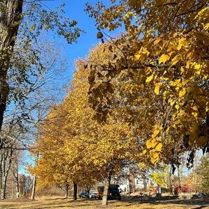 Meet your Posher, Rebekah